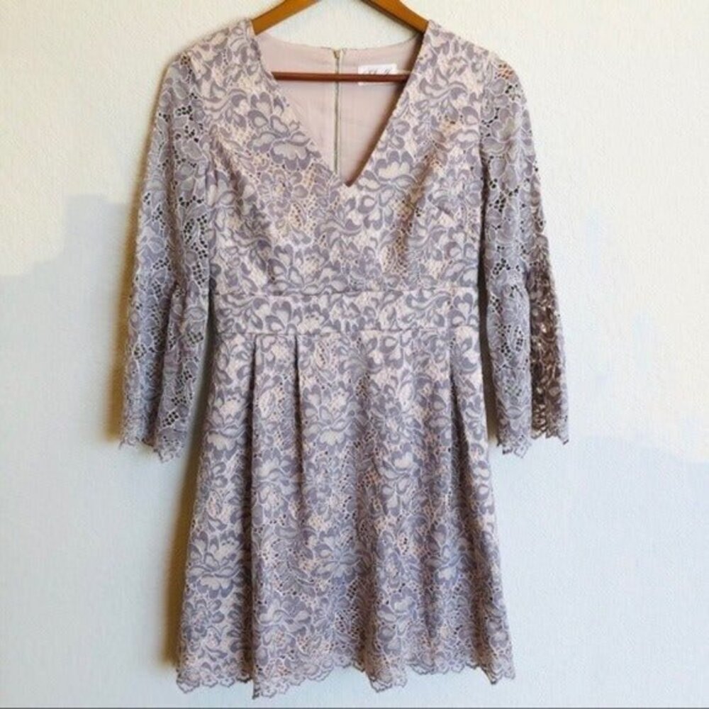 Eliza J Beige and Mauve Lace Dress